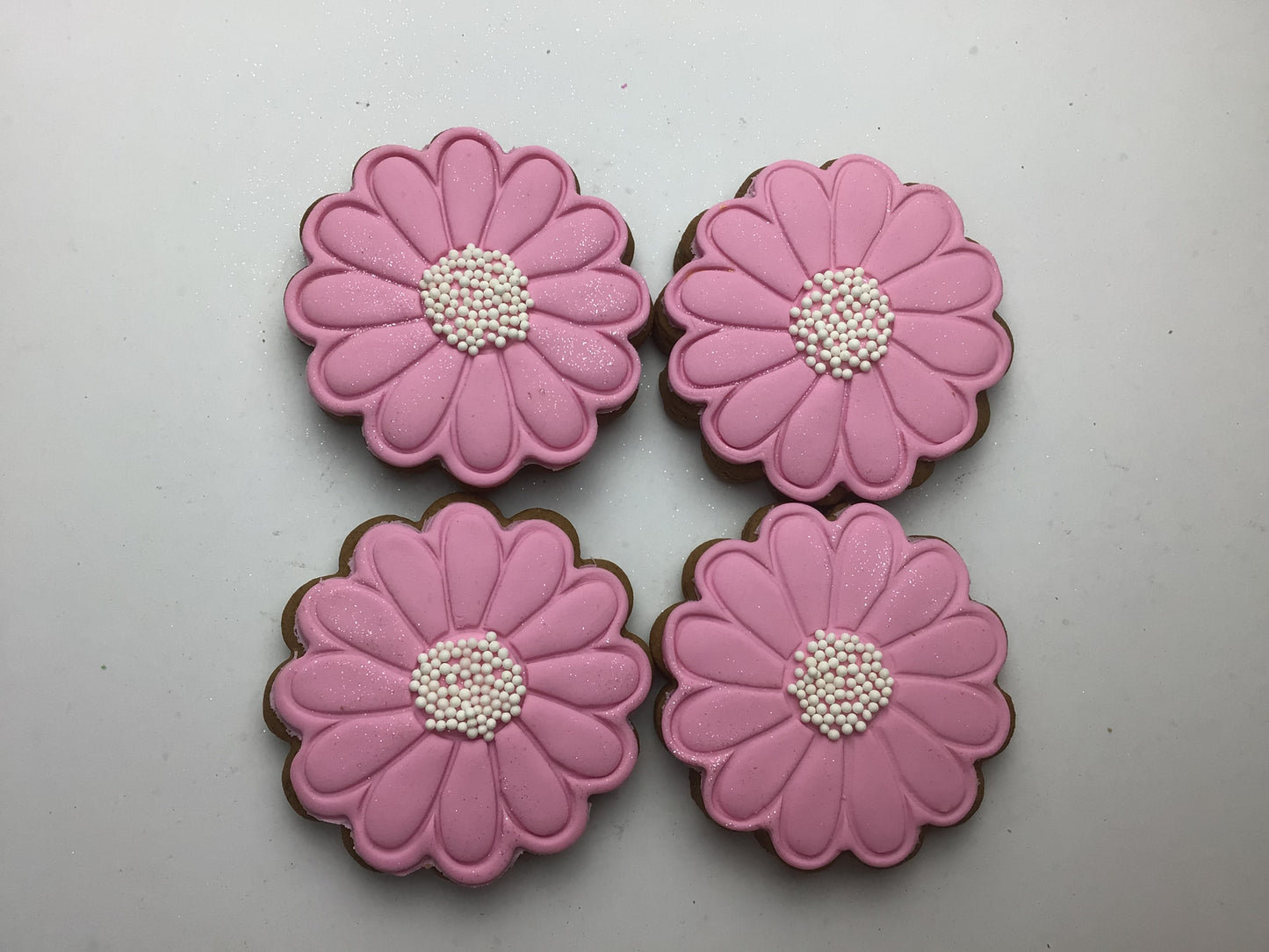 Daisy Pastel Pink