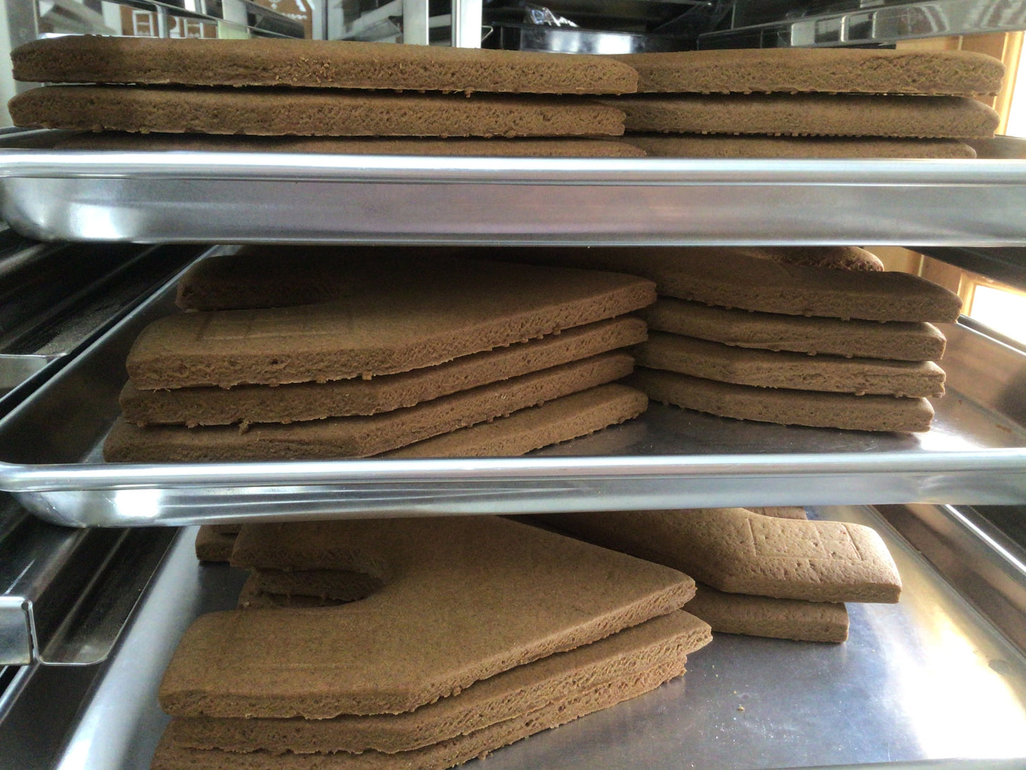 BUILD YOUR OWN HOUSE KIT