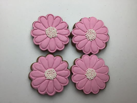 Daisy Pastel Pink