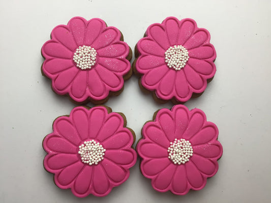 Daisy pink