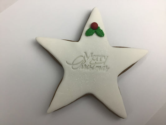CHRISTMAS STAR